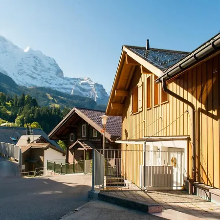 Sterndolde Apartment Wengen