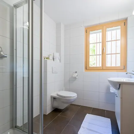 아파트 Sterndolde 벤겐