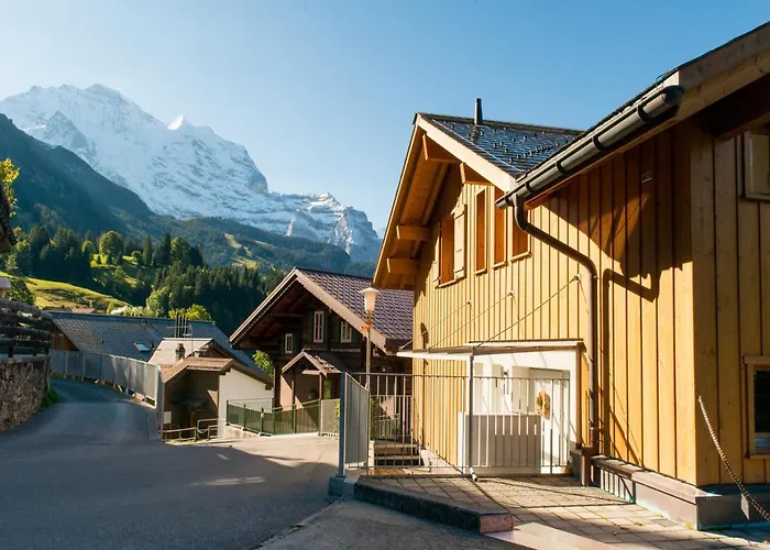 Sterndolde Apartamento Wengen