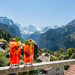Sterndolde Wengen